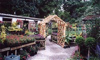 Cornish Nurseries: Rose Arbour